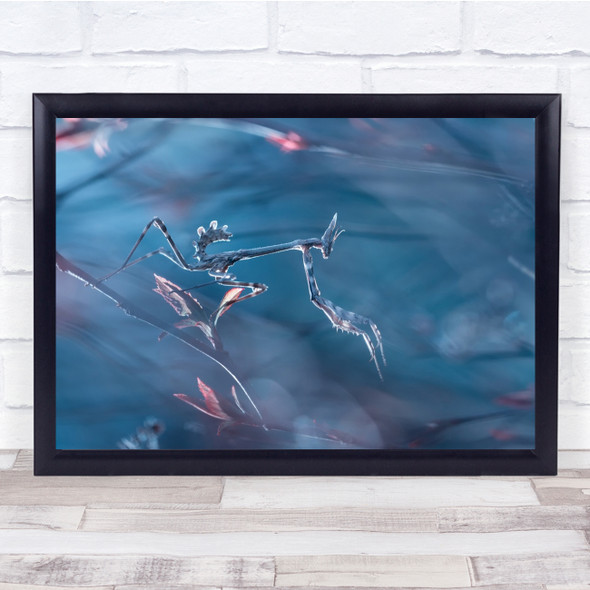 Mantis Insect Macro Bokeh My Garden Real Steel Wall Art Print