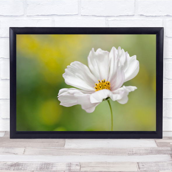 White Summer Flower Floral Green Flowers Bokeh Wall Art Print