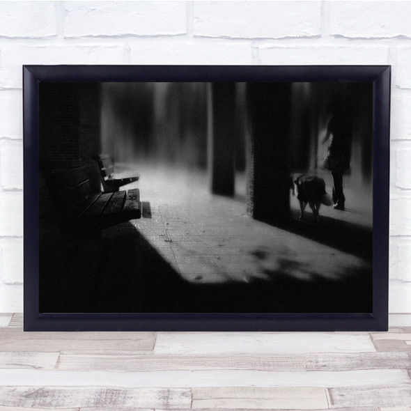 Black & White Mood Woman Light Dog Park Trees Wall Art Print