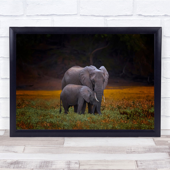 Elephants baby and mum Wildlife Nature Animal Wall Art Print