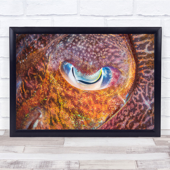 Eye Octopus Cuttlefish Texture Graphic nature Wall Art Print