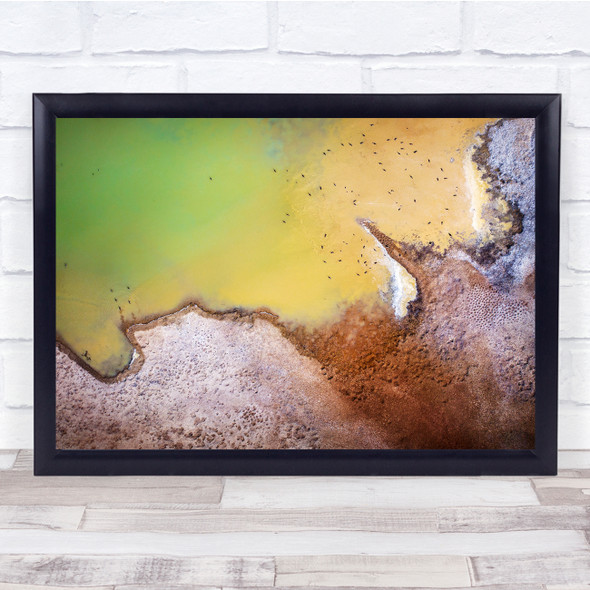 Lake Spring Birds Drone aerial view landscape Wall Art Print