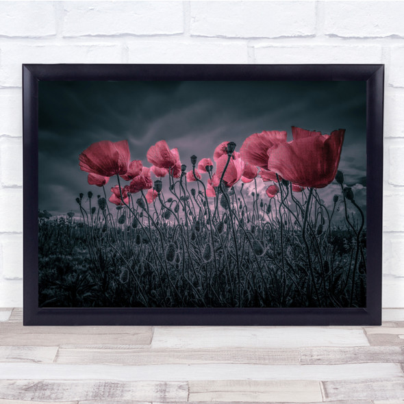 Poppies Red Pink Creative Selective Colouring Wall Art Print