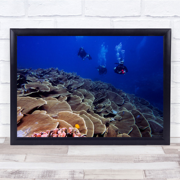 Ulong Channel Scuba Diver underwater sea life Wall Art Print