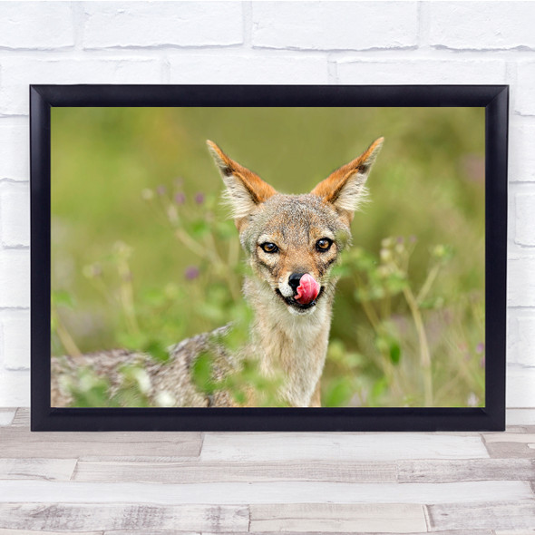 Animal Licking Nose Funny Tonge Pointy Ears Wall Art Print