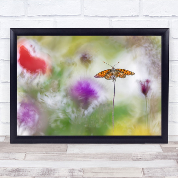 Macro Nature Bokeh Flowers Butterfly Meadow Wall Art Print