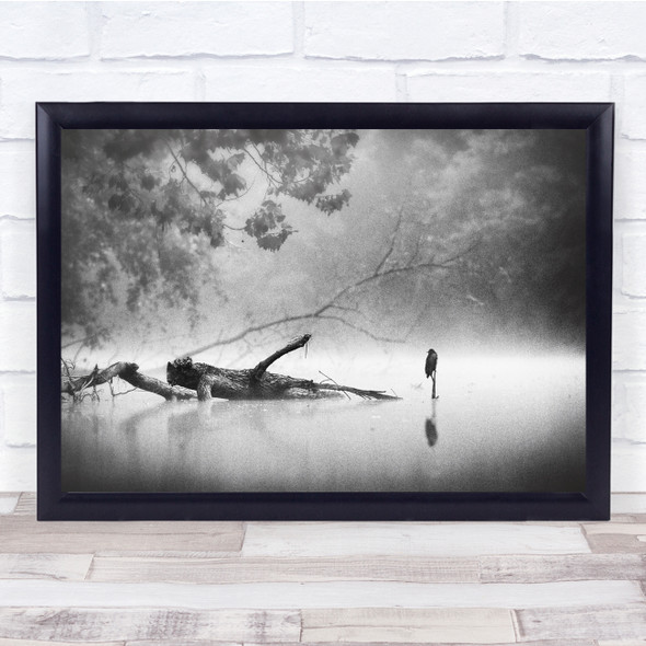 Mist Peaceful Surreal Mood Bird Black White Wall Art Print