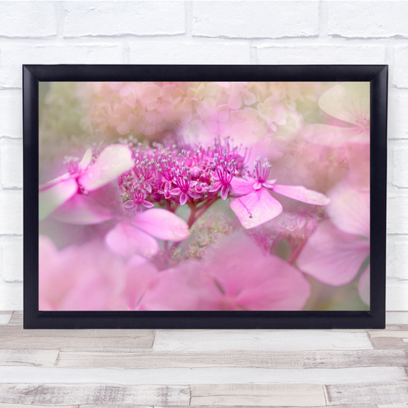 Pink Close Up Hydrangea Flowers Macro Bokeh Wall Art Print