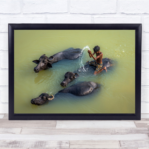 Water River Buffaloes Animals Action nature Wall Art Print