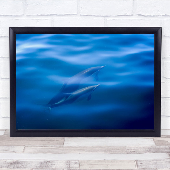 Dolphins Swimming Blue Couple Pair Seaview Wall Art Print