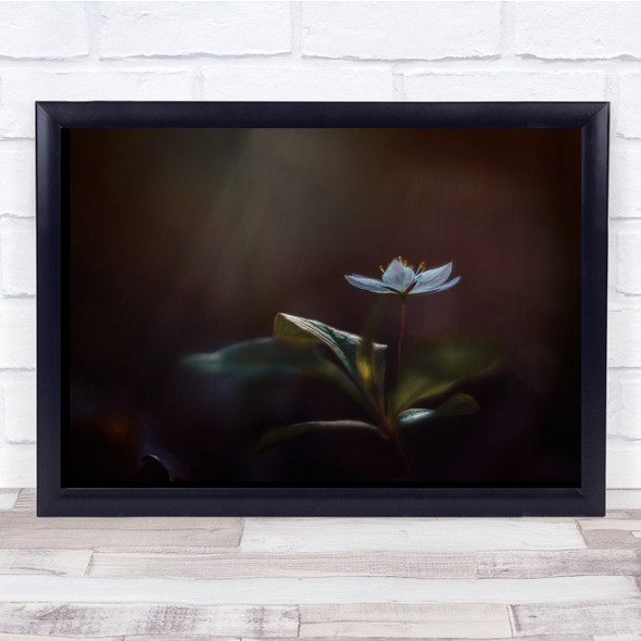 Flowers Botanical Light Macro Bokeh Nature Wall Art Print