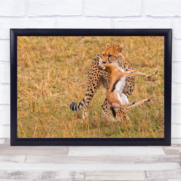 Lunch leopard hunting deer wildlife nature Wall Art Print