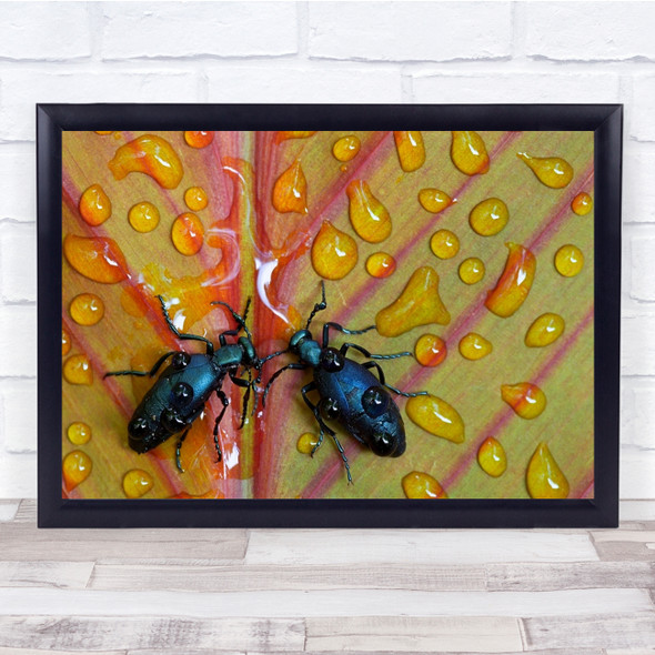 Macro Droplets Water Insect Colours Yellow Wall Art Print