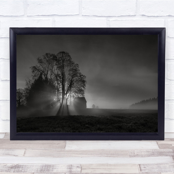 Mist Spring Black White Tree Shadow Meadow Wall Art Print