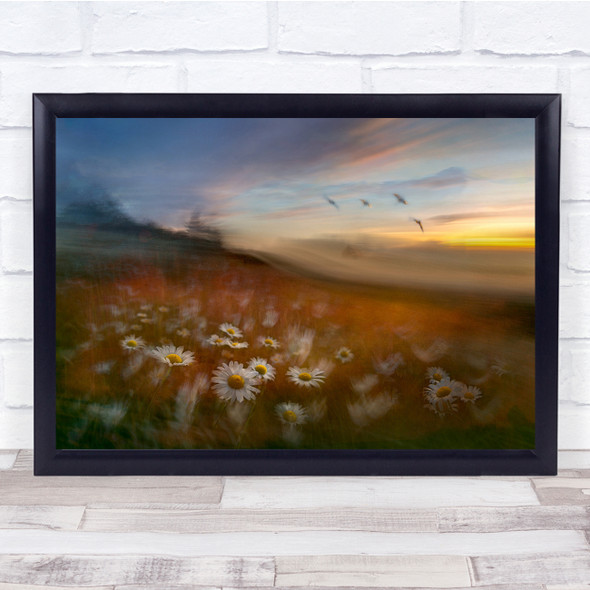 Sunset Flower Mood Colour Field of Daisies Wall Art Print