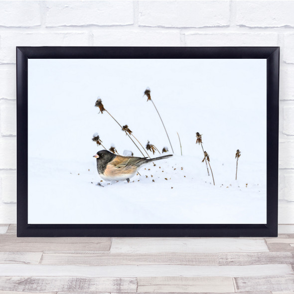 Bird Snow Winter Birds Animals Simplicity Wall Art Print