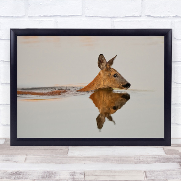 Deer Roe Wildlife Nature Water Reflection Wall Art Print