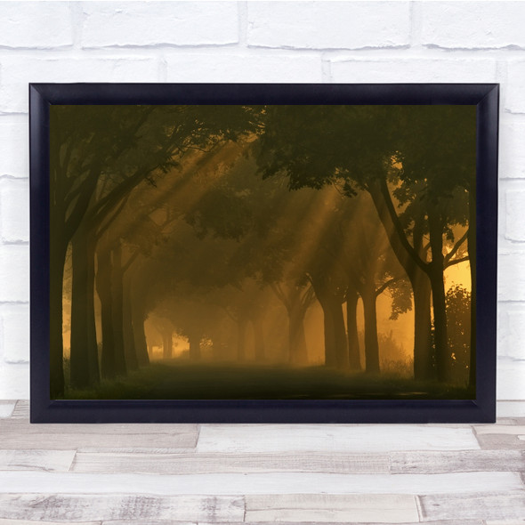 Landscape Trees Light Rays Fog Soft Sepia Wall Art Print
