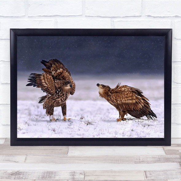 Birds Wildlife Nature Winter Cold eagles Wall Art Print