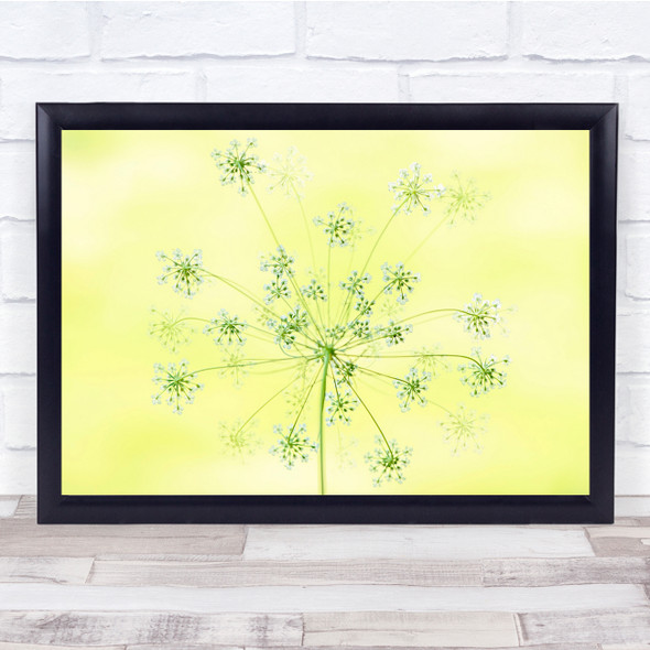 Flower Bloom Summer Yellow Plant Minimal Wall Art Print