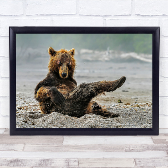 Kamchatka Nature Animals Wild Bears Cubs Wall Art Print