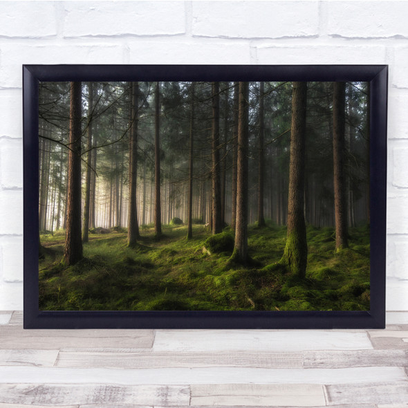 Landscapes Green Trees Forest Woods Moss Wall Art Print