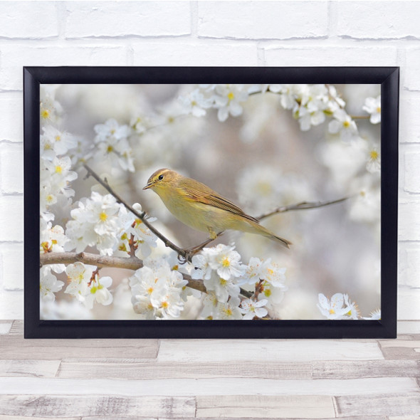 Macro Still Life Bird White Anemone Tree Wall Art Print