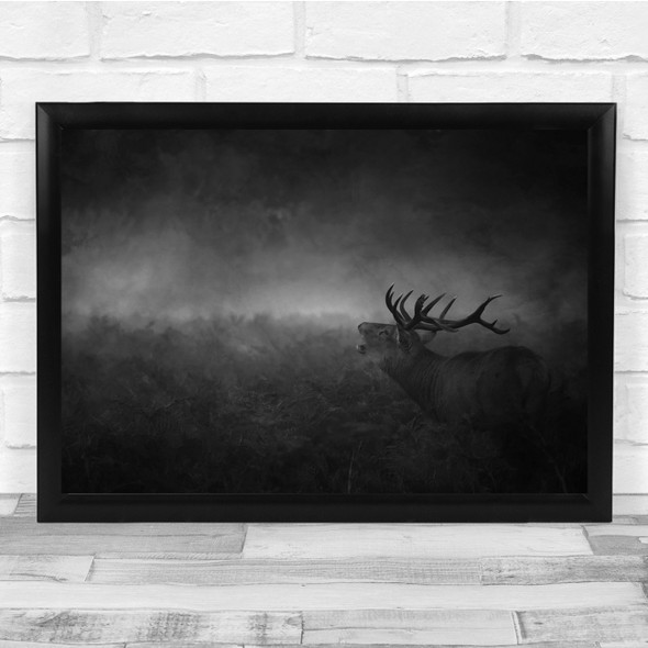 Animals Stag Deer Antlers Black & White Wall Art Print