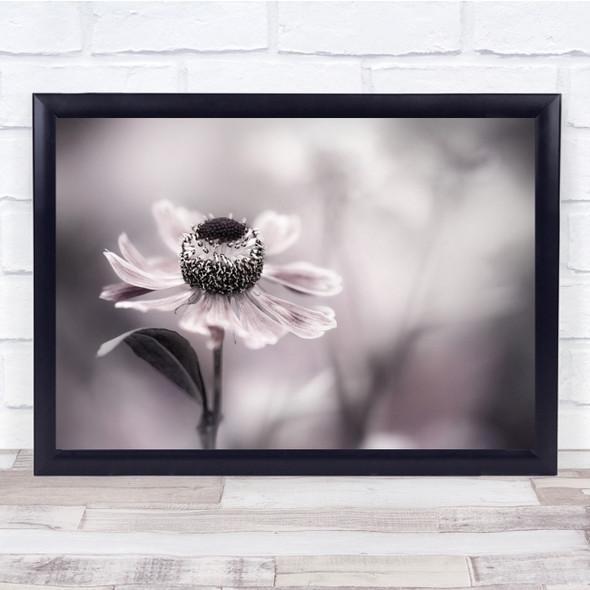 Helenium Garden Plant Flower Bokeh Soft Wall Art Print