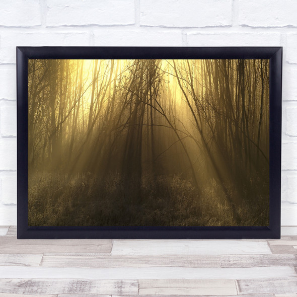 Abstract Landscape Nature Trees Forest Wall Art Print