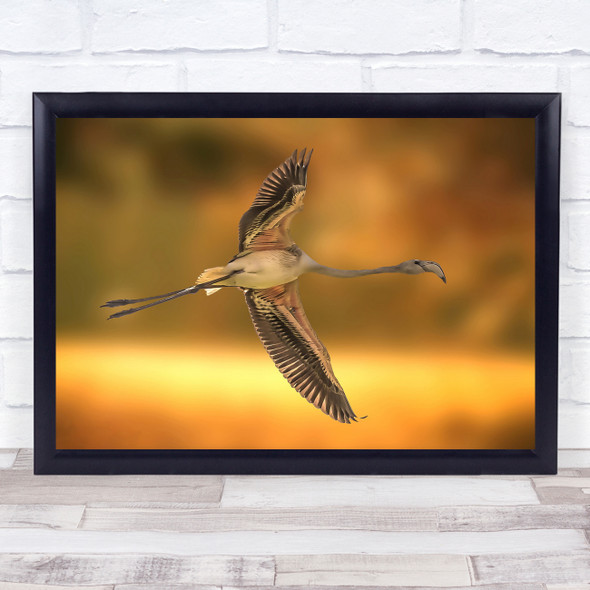 Bird flying wings animal orange autumn Wall Art Print