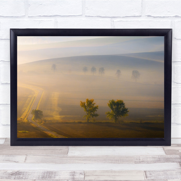 Landscape Mist Countryside Trees Field Wall Art Print