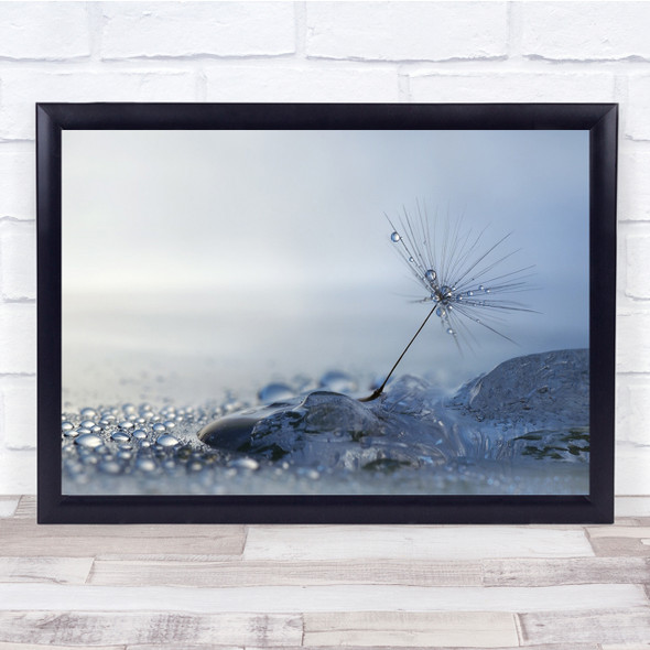 Macro Seed Water Feather Droplets Blue Wall Art Print