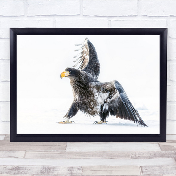 Eagle Bird Wildlife White snow winter Wall Art Print