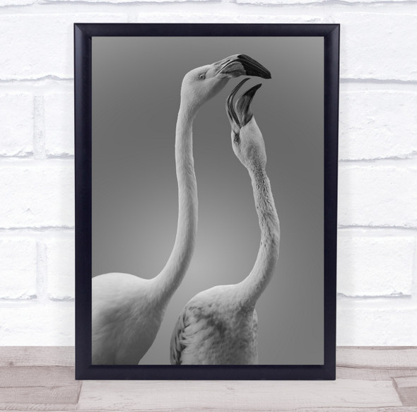Birds Kiss Bird Flamingo Flamingos Black & White High Key High-Key Animal Print