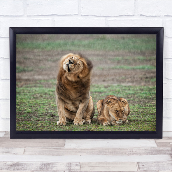 Safari Africa Wildlife Tanzania Feline Savannah Nature Print - PETTEX1732909