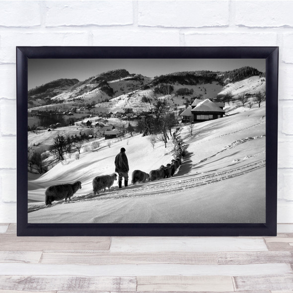 Alp Village Black & White Sheep Line Queue Shepherd Tracks Winter Snow Print