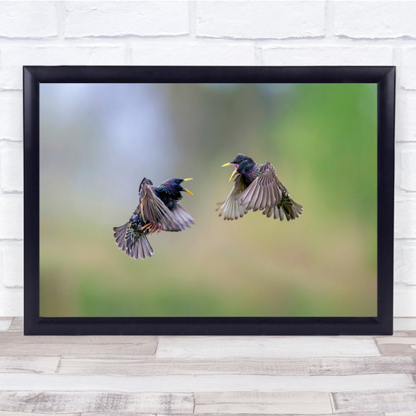 Wildlife Animals Nature Birds Transfers Flock Wall Art Print - PETTEX1700328