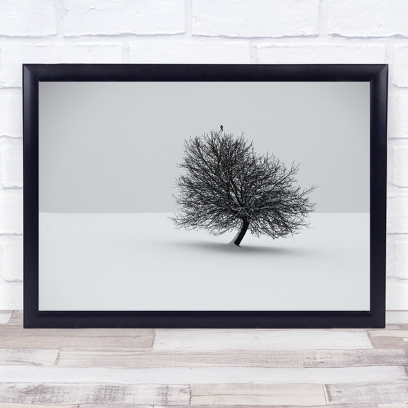 Bavaria Winter Wintertime Snow Tree Bird Silence Quiet Season Wall Art Print