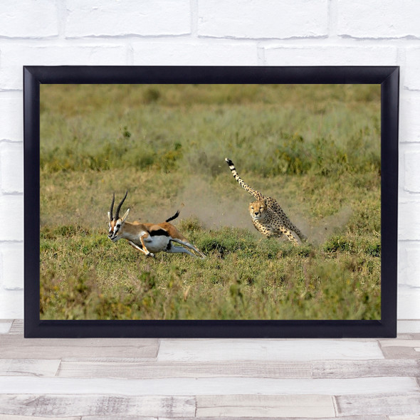 Chase Chasing Run Running Speed Catch Hunter Hunting Predator Wall Art Print