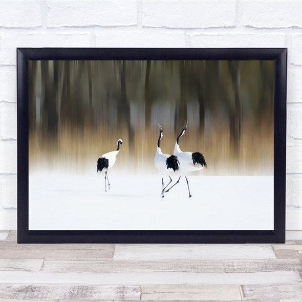 Crane Bird Snow Winter Love Sing Pair Japan Red-Crested White Wall Art Print