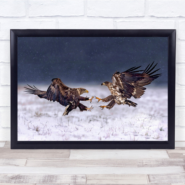 Eagles Winter Snow Wild Poland Bird Eagle Birds Wildlife Cold Wall Art Print