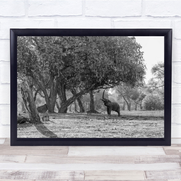 Elephant Wildlife Nature Animals Africa Safari Elephants Wild Wall Art Print