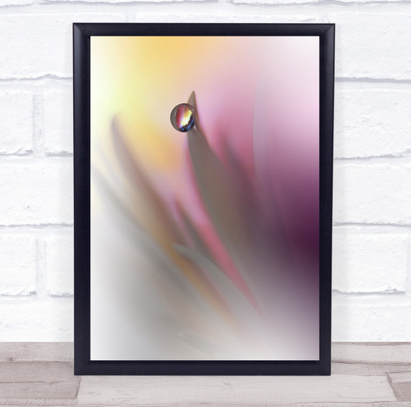 Flower Flora Floral Macro Drops Droplet Soft Delicate Colours Wall Art Print