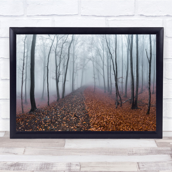 Forest Panorama Autumn Fall Fog Mist Haze Germany Celtic Wall Wall Art Print