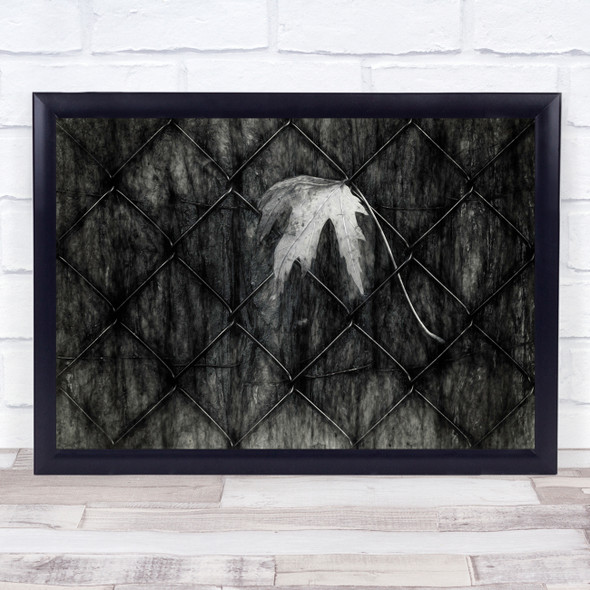 Leaf Autumn Black & White Fence Mood Sadness Pattern Terminal Wall Art Print