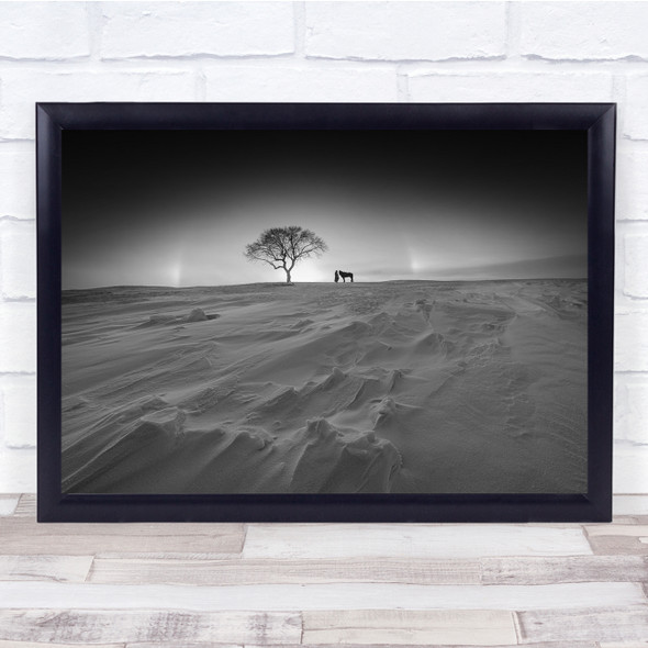 Lonely Tree Winter Snow Black & White Horse Horses Silhouette Wall Art Print