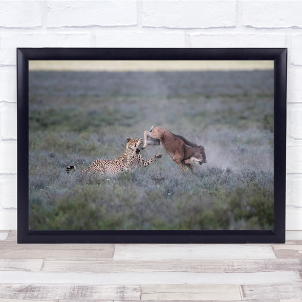 Mammal Nature Wild Wildlife Fauna Predator Mustelidae Cheetah Wall Art Print