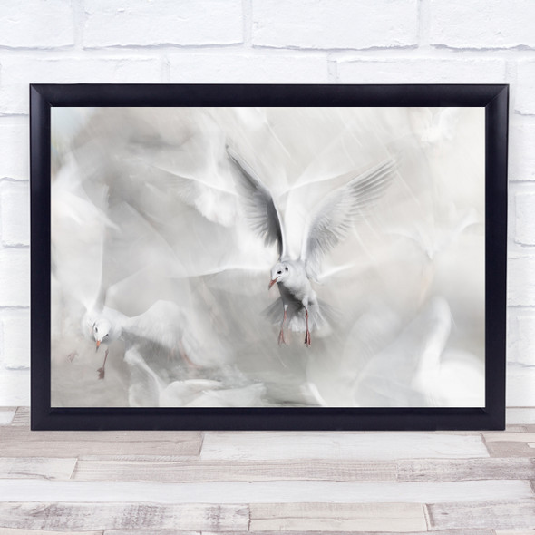 Seagull Flying Fly Movement Wings Wind Withe Winds Of Freedom Wall Art Print