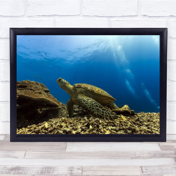 Turtle Sea Ocean Blue Diving Scuba Underwater Bubbles Surface Wall Art Print